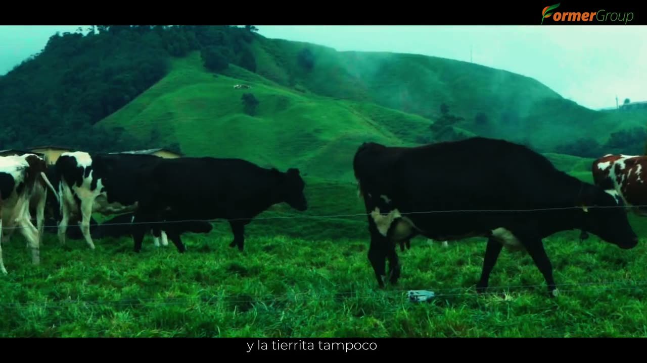 Trabajo para Former Group · Utópicos Studios