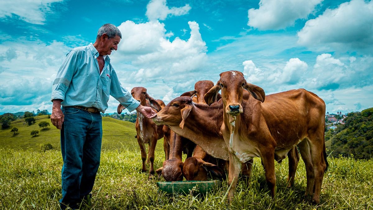 Fotografía del Calendario SUYA: ganadero con su ganado